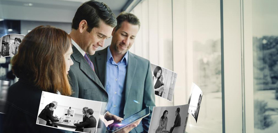 Random Penguin Photo